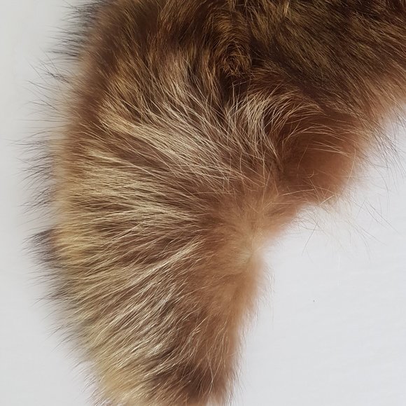Brown Raccoon Fur Scarf, Vintage Raccoon Fur Collar - Picture 4 of 13
